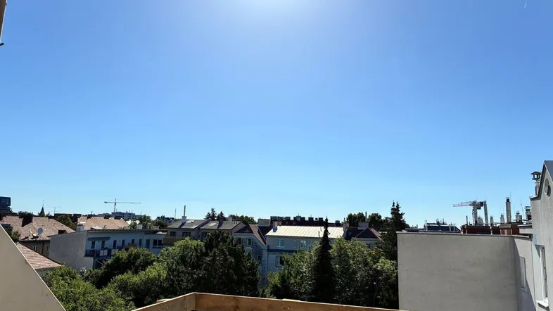Weitblick über die Stadt mit Dächern und Bäumen an einem sonnigen Tag.