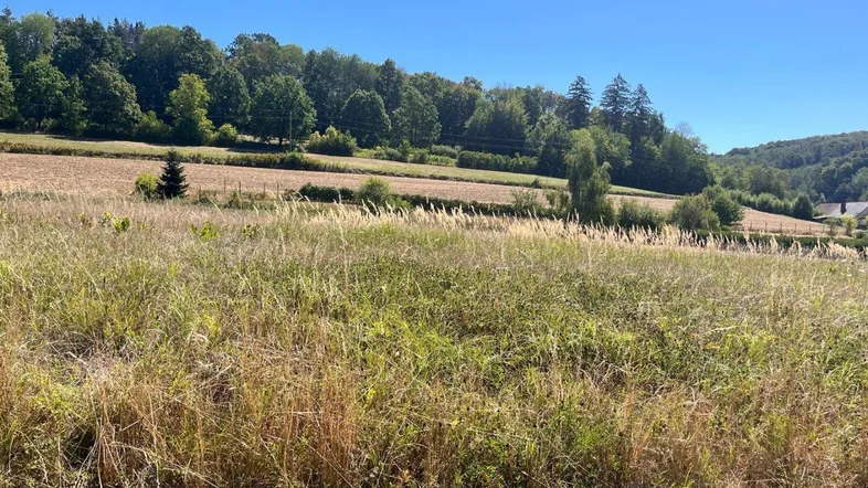 Ländliche Landschaft mit Feldern und Wald unter blauem Himmel, ein Haus in der Ferne sichtbar.