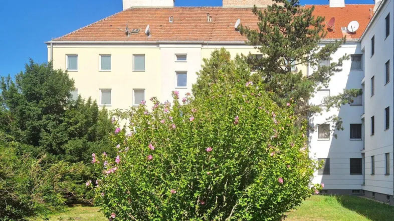 Außenansicht innenhofseitig