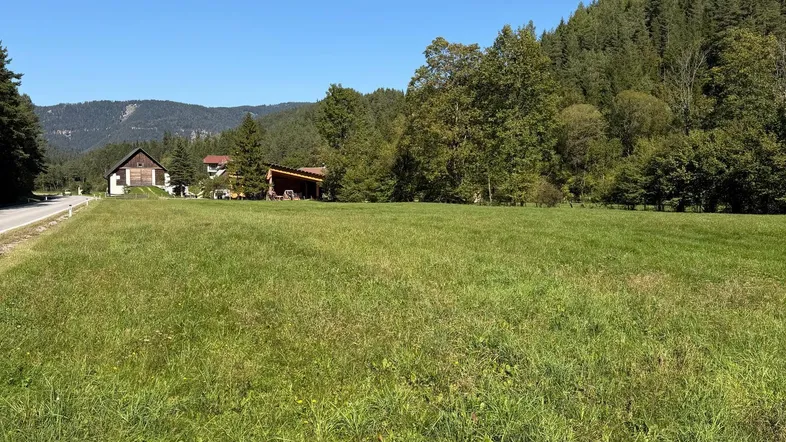Weitläufige grüne Wiese mit Blick auf bewaldete Hügel und einige Gebäude unter klarem blauem Himmel.