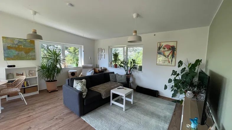 Heller, offener Wohn- und Essbereich mit Holzboden, bequemer Couch und vielen Pflanzen.