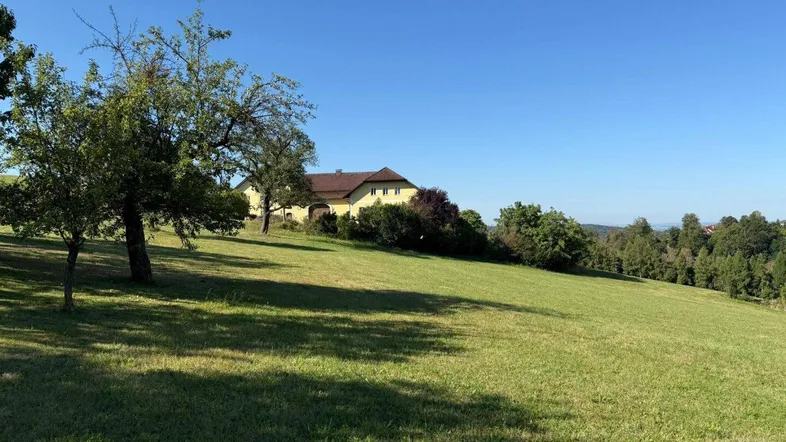 Weitläufige grüne Wiese mit einem Haus in der Ferne unter strahlend blauem Himmel.