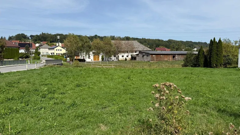 Titelbild - Blick Richtung Osten