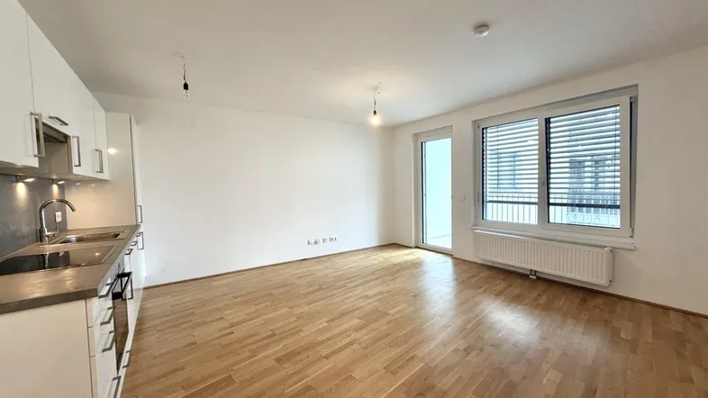 Heller offener Wohnbereich mit integrierter Küche, Parkettboden und Zugang zum Balkon.