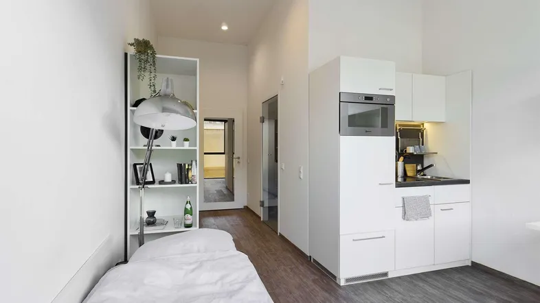 Helles Studio-Apartment mit integrierter Küchenzeile, Schlafbereich und modernem Design.