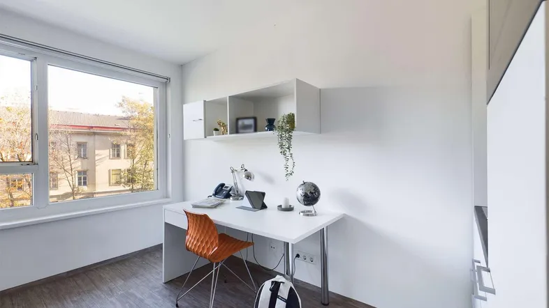 Helles Arbeitszimmer mit großem Fenster, Schreibtisch und modernen Regalen an der Wand.