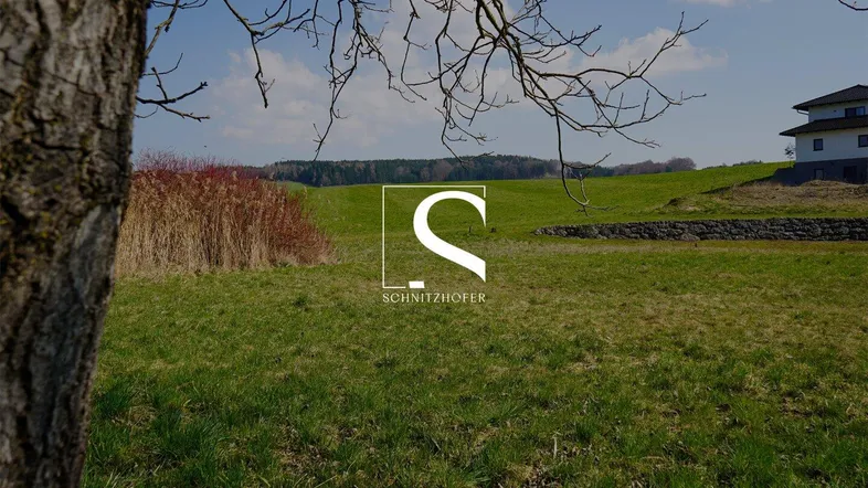 Weitläufige grüne Wiesenlandschaft mit einem Wohnhaus am Horizont und klarem Himmel, ideal für Naturliebhaber.