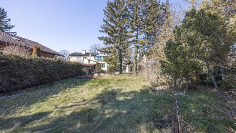 Großer Gartenbereich mit Rasenfläche und altem Baumbestand hinter dem Wohnhaus.