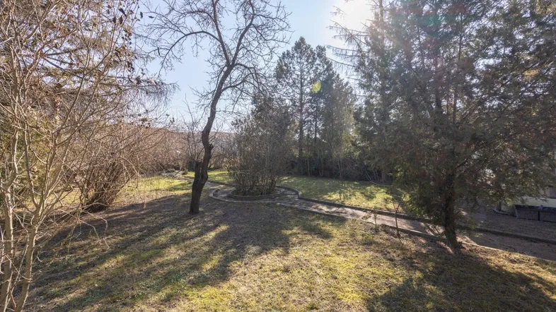 Großer Gartenbereich mit Rasenflächen, Bäumen und einem geschwungenen Weg unter blauem Himmel.