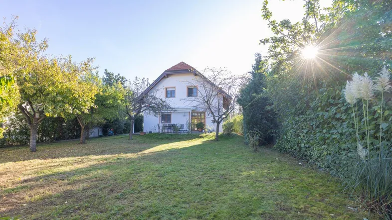 Großer, sonniger Garten hinter dem Haus mit Rasenfläche und Obstbäumen.