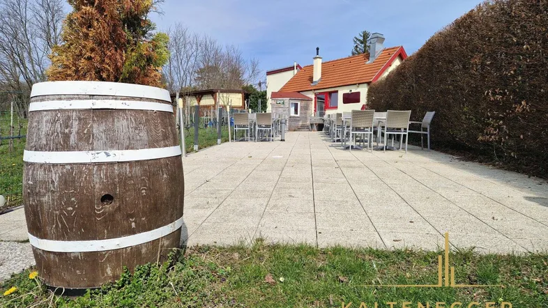 Geräumige gepflasterte Terrasse mit Sitzgelegenheiten und einem dekorativen Holzfass im Vordergrund.