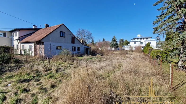 Blick auf ein verwildertes Grundstück mit einem älteren Haus im Hintergrund unter blauem Himmel.