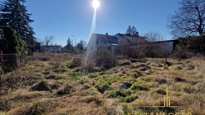 Sonniges, verwildertes Grundstück mit Blick auf ein älteres Gebäude und umliegende Natur.