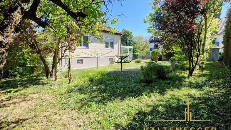 Großer, gepflegter Garten mit altem Baumbestand und Blick auf das Einfamilienhaus.