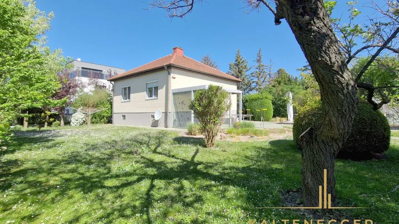 Sonniger Gartenbereich mit Rasenfläche und Blick auf das Haus unter blauem Himmel.