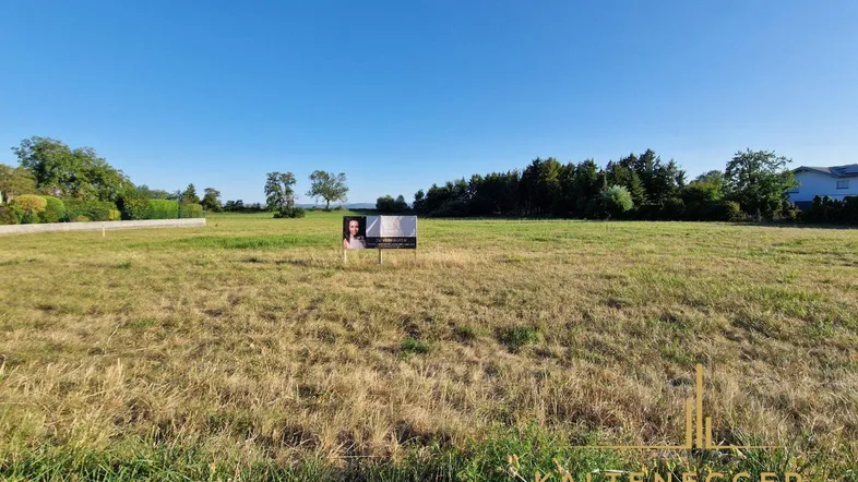 Weitläufiges Grundstück mit grüner Wiese und Bäumen unter klarem blauem Himmel.