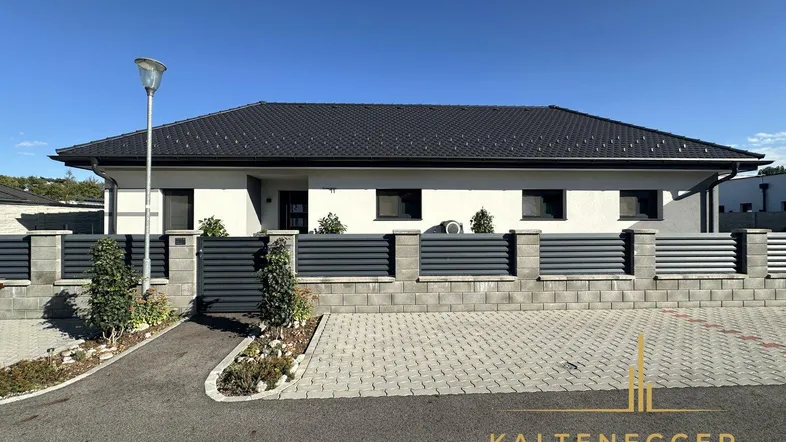 Moderne Einfamilienhausfassade mit dunklem Dach und gepflegter Zufahrt.