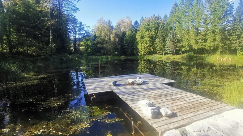 Holzsteg an einem Teich, umgeben von Bäumen unter blauem Himmel und Sonnenschein.