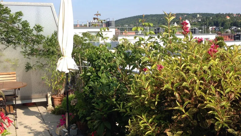 Dachterrasse mit üppiger Bepflanzung, Sonnenschirm und weitem Blick über die Stadt und Hügel.