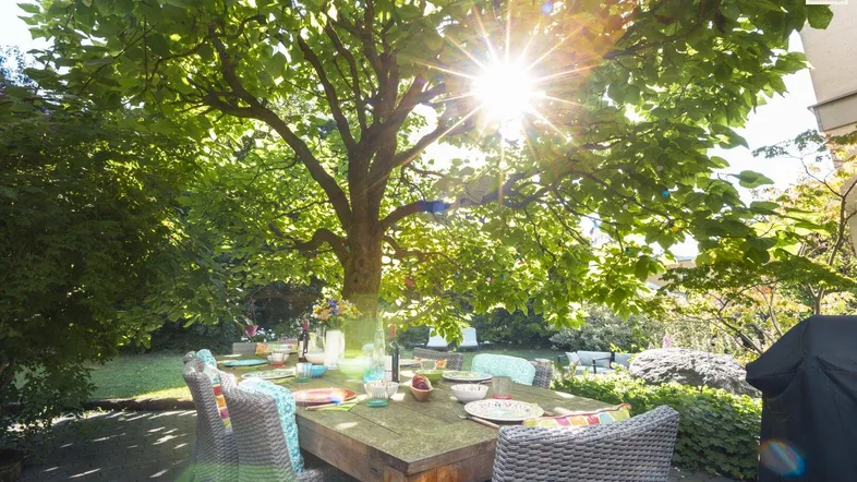 Gemütliche Terrasse mit großem Holztisch und bunten Stühlen unter einem schattenspendenden Baum.