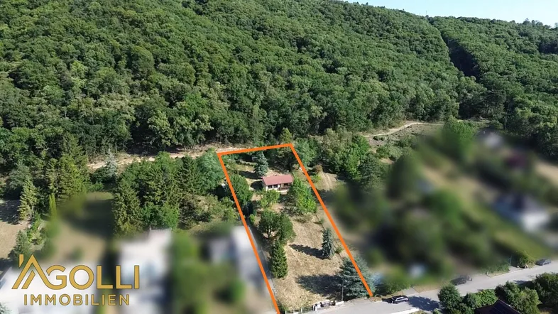 Luftaufnahme des Grundstücks mit Haus, umgeben von Wald und markierter Fläche.