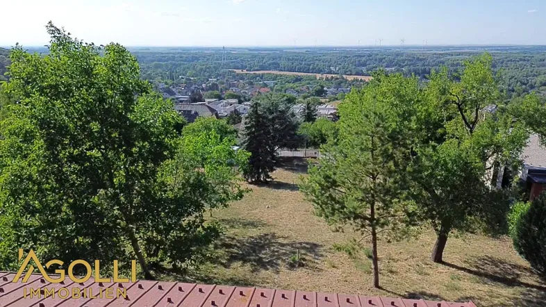 Weitläufiger Blick über die Landschaft mit Bäumen und einem Dorf im Hintergrund.