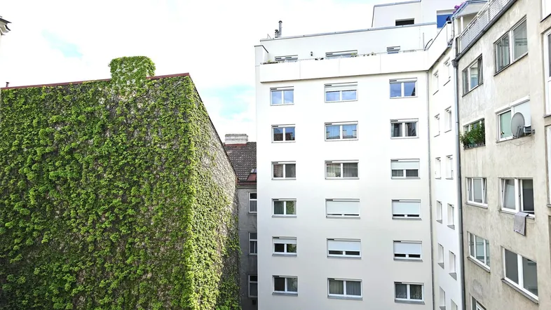 Blick auf die Fassaden von Mehrfamilienhäusern, wobei eine Wand vollständig mit Efeu bewachsen ist.