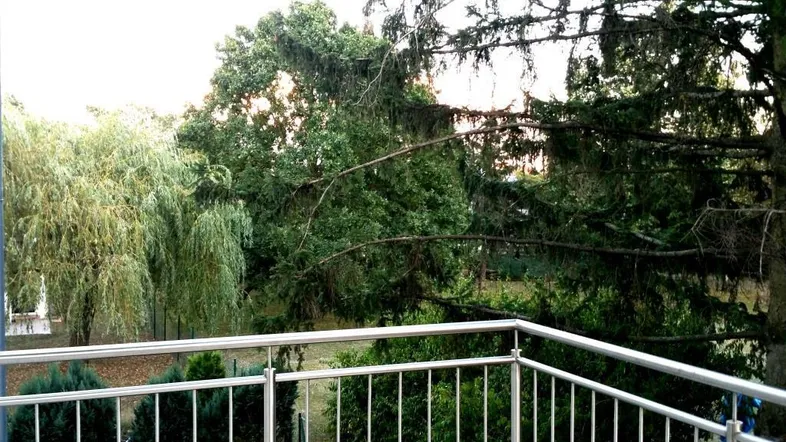 Tolle Grünruhelage