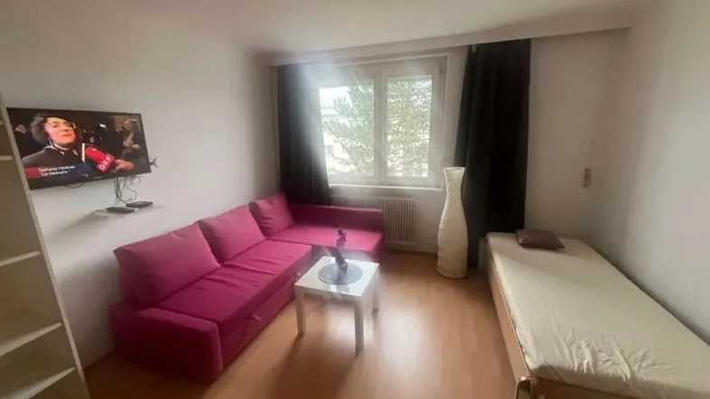Helles Zimmer mit pinkem Sofa, Einzelbett und Fernseher, ideal für Studenten oder Singles.