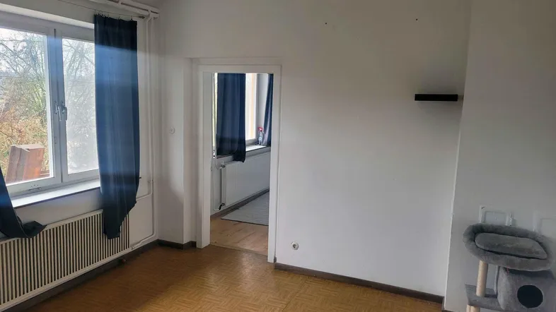 Helles Zimmer mit Fensterblick ins Grüne, Parkettboden und einem Katzenbaum.