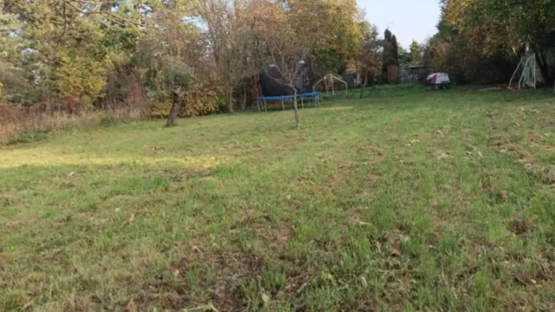 Großer Gartenbereich mit Rasenfläche, umgeben von Bäumen und Sträuchern, ideal für Freizeitaktivitäten.