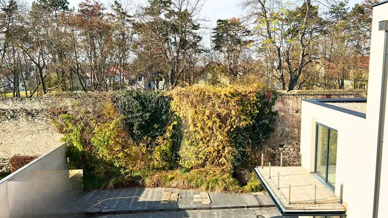 Terrasse im Bau mit Blick auf eine begrünte Mauer und Bäume im Hintergrund.