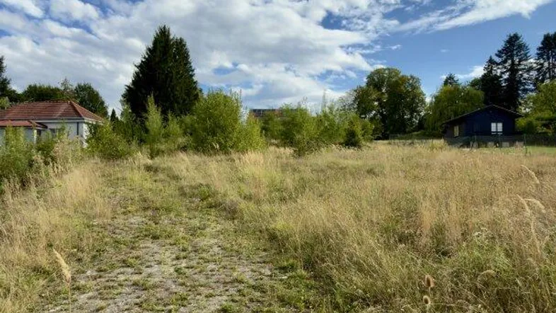 Weitläufiges unbebautes Grundstück mit hohem Gras und einem alten gepflasterten Weg unter blauem Himmel.