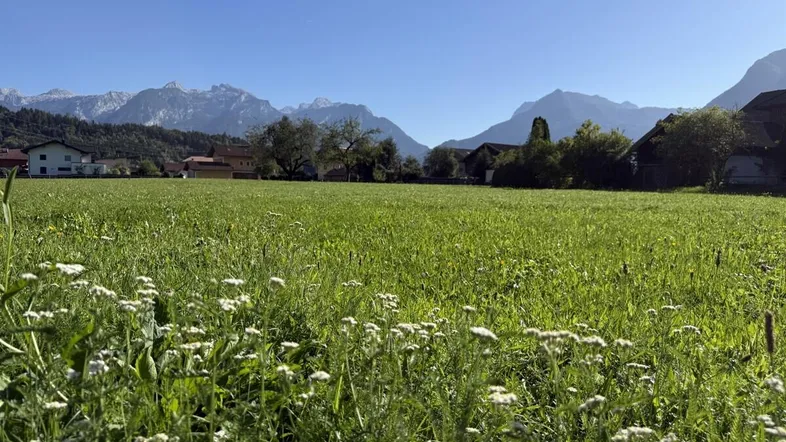 Grünes Feld mit blühenden Blumen, umgeben von Häusern und einer beeindruckenden Bergkulisse.