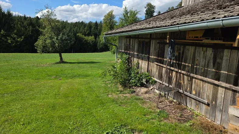 Rustikales Holzgebäude neben einer weiten grünen Wiese unter blauem Himmel mit Bäumen im Hintergrund.