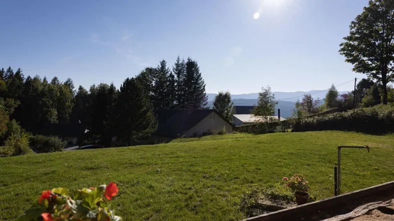 Sonnige Landschaft mit weiten grünen Feldern, Bäumen und Bergblick in der Ferne.