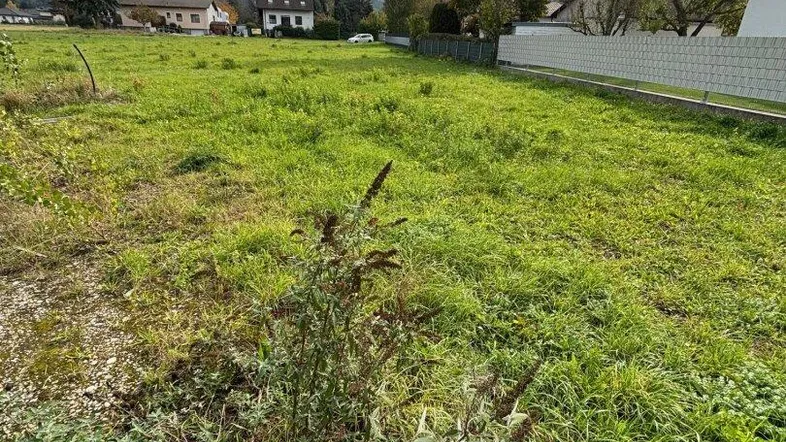 Weitläufiges grünes Grundstück mit Wiese und Häusern im Hintergrund unter bewölktem Himmel.