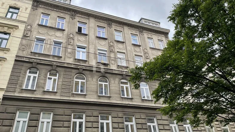 Altbau-Fassade mit vielen Fenstern und dekorativen Elementen unter bewölktem Himmel.