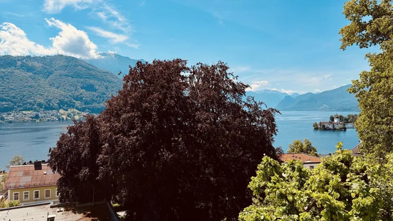 Malerischer Blick auf den See mit einer kleinen Insel und umliegenden Bergen, umrahmt von Bäumen.