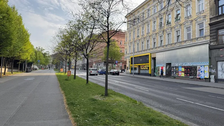 Blick auf eine belebte Stadtstraße mit Bäumen und historischen Gebäuden unter einem bewölkten Himmel.