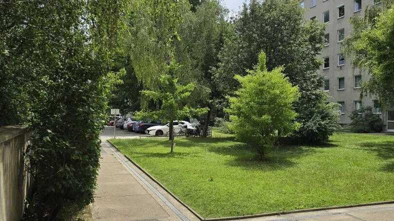Blick auf die grüne Umgebung des Gebäudes mit Bäumen, Rasenflächen und geparkten Autos.