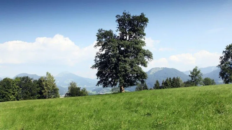 Angerberg.jpg