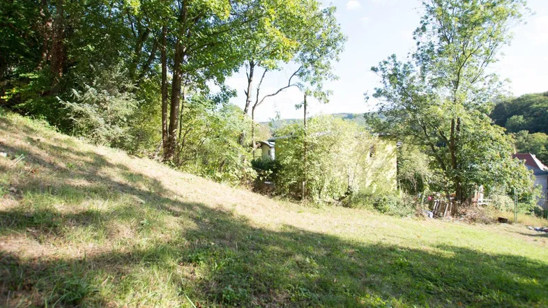 Grüner Hang mit Bäumen und Blick auf ein entferntes Gebäude in der Landschaft.