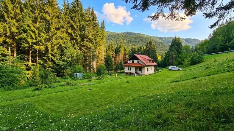Freistehendes Haus in einer weiten grünen Landschaft, umgeben von hohen Nadelbäumen und Bergen.