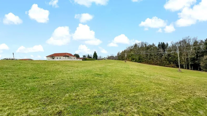 Weitläufiges grünes Feld unter blauem Himmel mit einem Haus in der Ferne und Waldrand.
