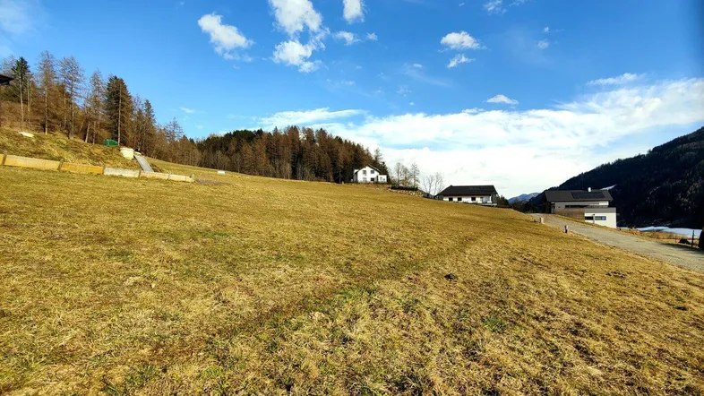 Weitläufiges Grundstück mit Blick auf die umliegende Natur und vereinzelte Häuser.