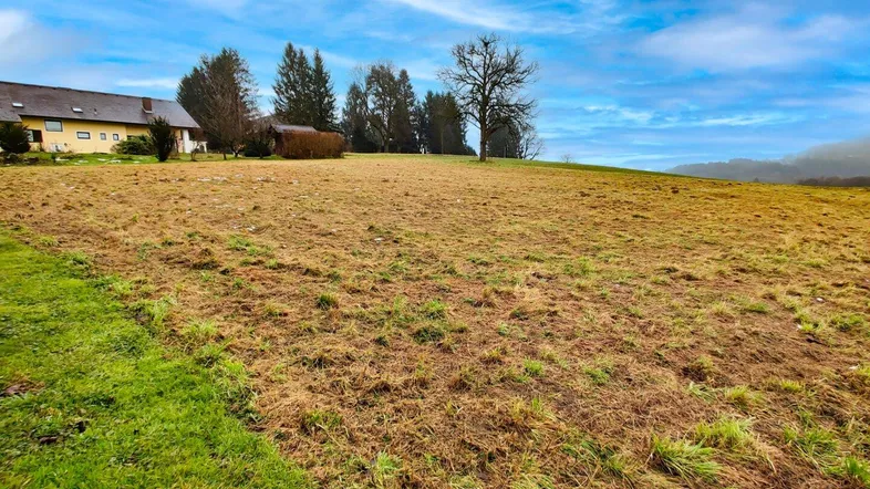 Weitläufiges Grundstück mit Blick auf ein Wohnhaus und umliegende Natur unter blauem Himmel.