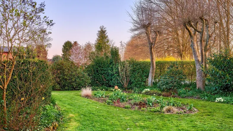 Gepflegter Garten mit Rasenfläche, blühenden Beeten und hohen Hecken unter einem klaren Himmel.