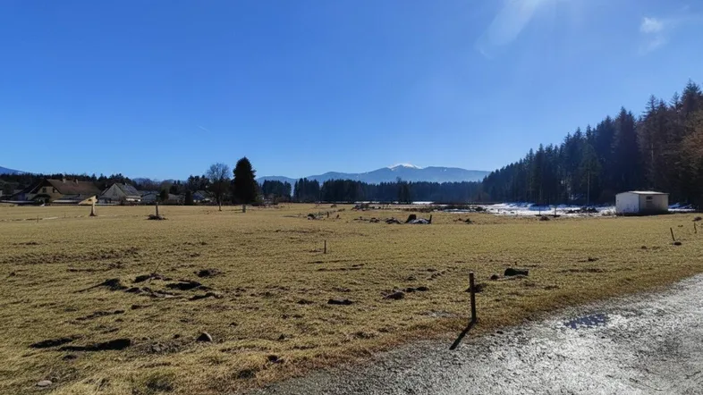 Weitläufige Landschaft mit Wiesen, Wäldern und Bergen unter strahlend blauem Himmel.