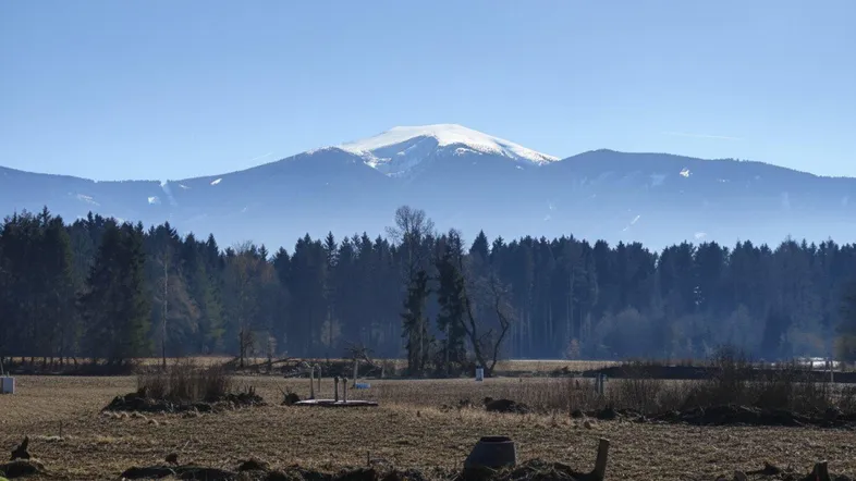 Fernblick auf einen schneebedeckten Berg, umgeben von Wäldern und Feldern unter klarem Himmel.